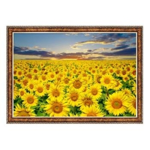 해바라기 들판 액자포함 1000피스퍼즐 PG1005s_이미지