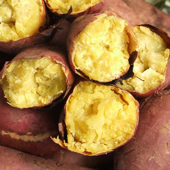 농부마음 황토 햇 밤고구마 왕특/대품 10kg