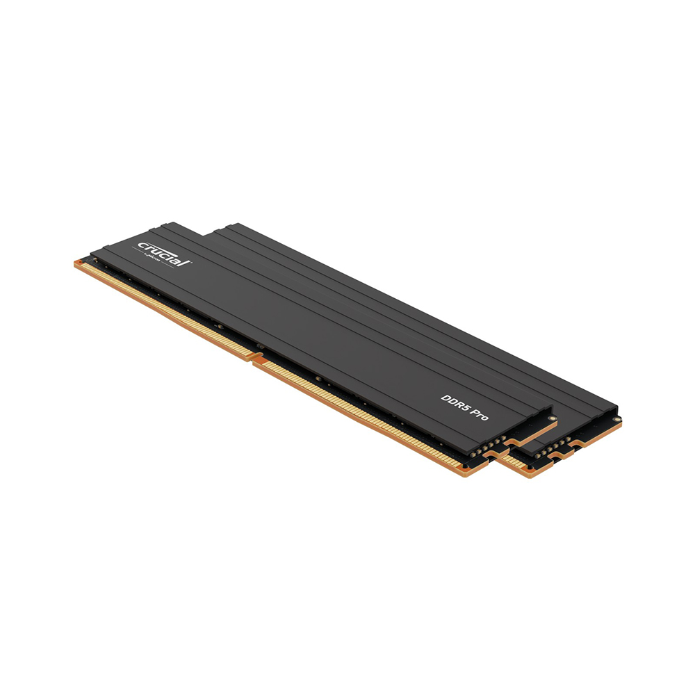 [DDR5 128G] ����ũ�� Crucial DDR5-5600 CL46 PRO ��Ű�� �����Ƽ���� (128GB(64Gx2))