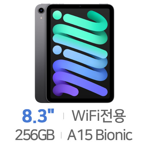 Apple 2021 iPad mini 6세대 256GB (스페이스그레이)_이미지