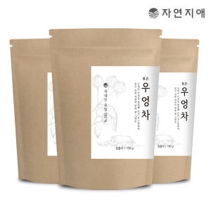 자연지애 우엉차 100g (3개)