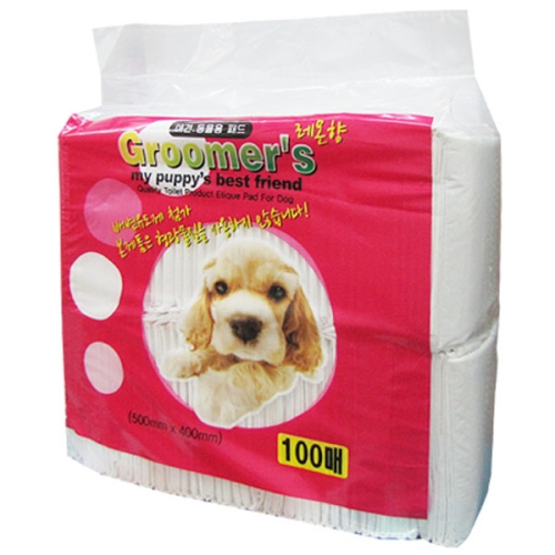 �ɹ��� �׷�ӽ� �ְ��е� 100��