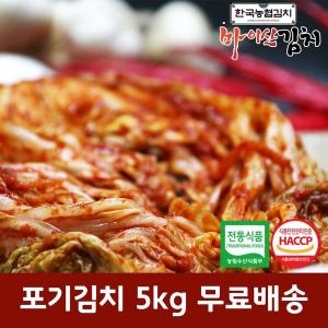 국산 재료 진안 마이산 묵은김치 5kg
