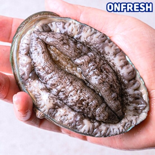 �ٴٿ� �ϵ�Ȱ���� 8~9�� 1kg