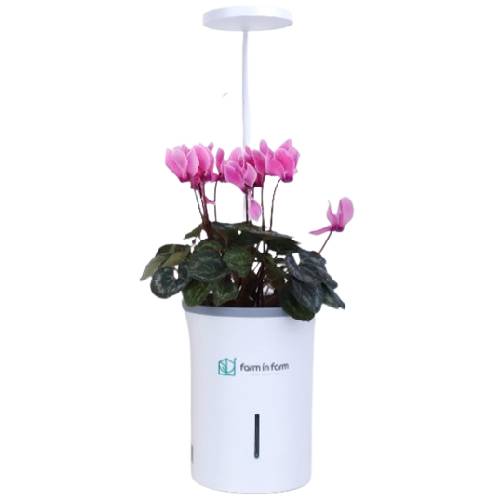 팜인팜 GROWPOT-02이미지입니다. 누르면 해당 게시물로 새창이동합니다.