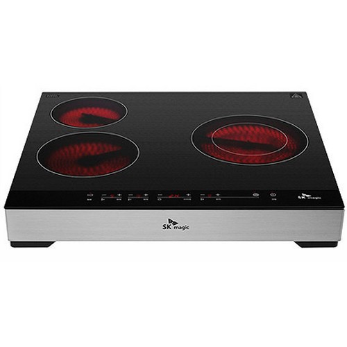 SK���� ERA-BT300