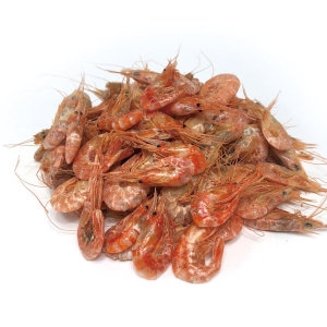 신건호멸치 국산 건새우 500g 마른새우 수염새우 말린새우 건어물_이미지