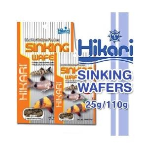 히카리 히카리 코리도라스 110g /비파 플레코 안시 먹이 사료