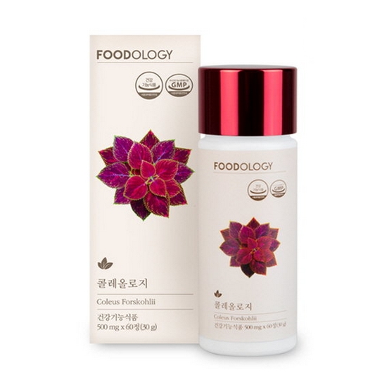 푸드올로지 콜레올로지 컷 600mg 60정 (6개)_이미지