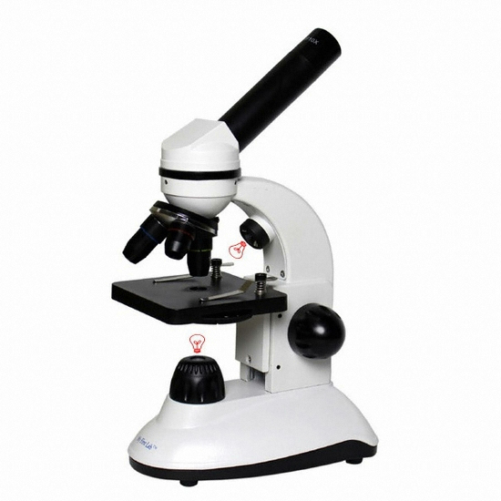 C&A Scientific 듀오 생물 현미경 MFL-06 (정품)