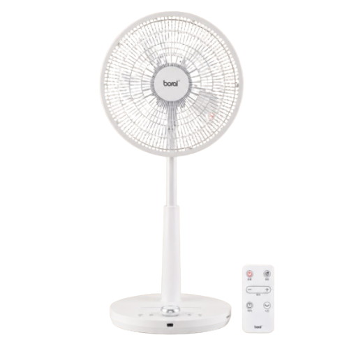 보랄 BR-BLDC100RF_이미지