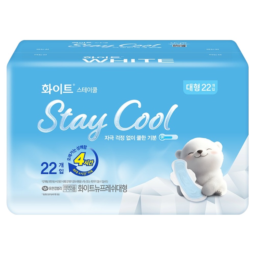 스테이쿨 대형 22개