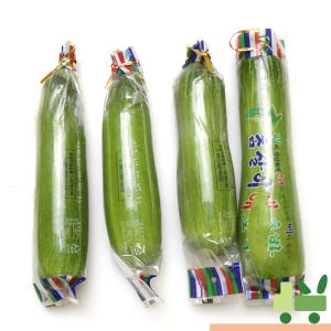 인큐 애호박   상
