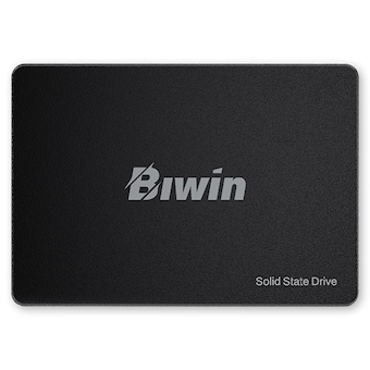 BIWIN M100