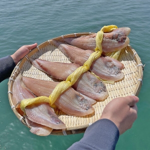 수산대장 반건조박대 서대 15미 특 선물세트