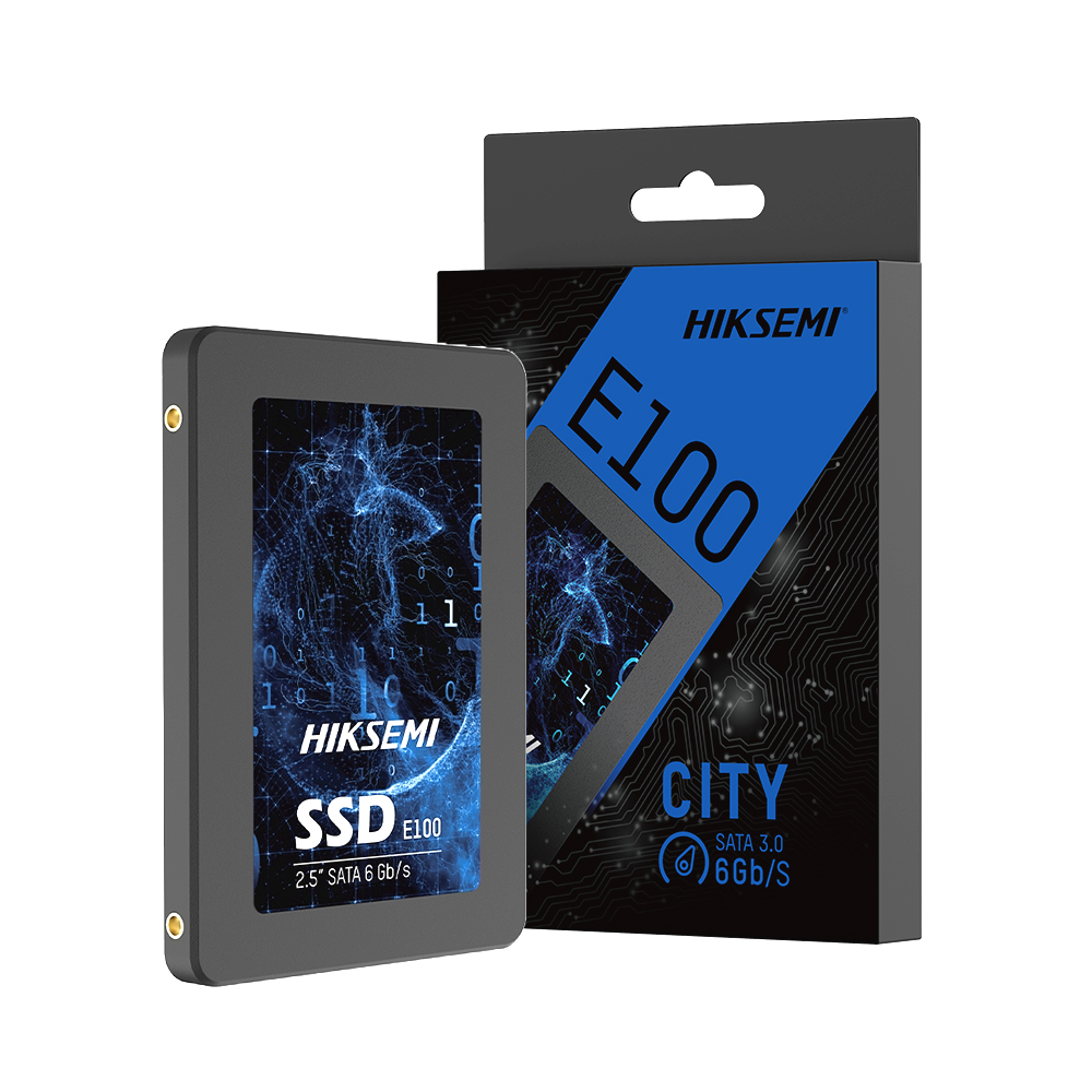 HIKSEMI E100 (1TB)_이미지