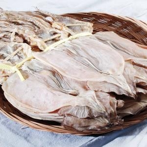 백송식품 동해안 마른오징어 20미 800g (1개)_이미지