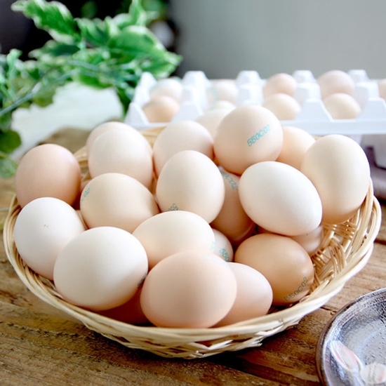 동물복지 무항생제 백봉오골계 초란 40구