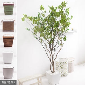 플라워트리 라인-느티나무화분set 210cm  조화  FREOFT이미지입니다. 누르면 해당 게시물로 새창이동합니다.