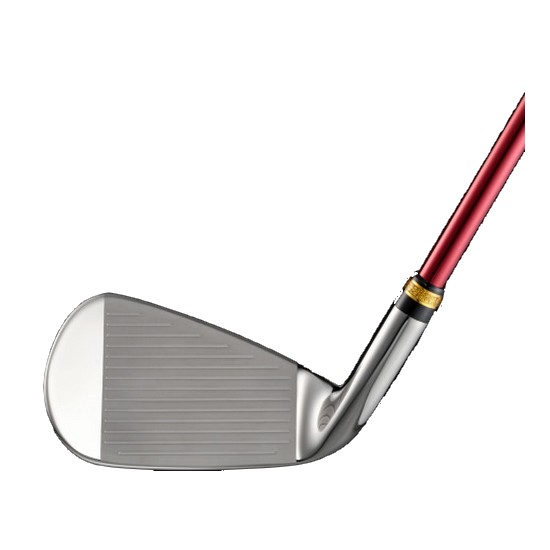 ����� ������Ƽ ������Ƽ���� 13 ������ ���̾� ī��