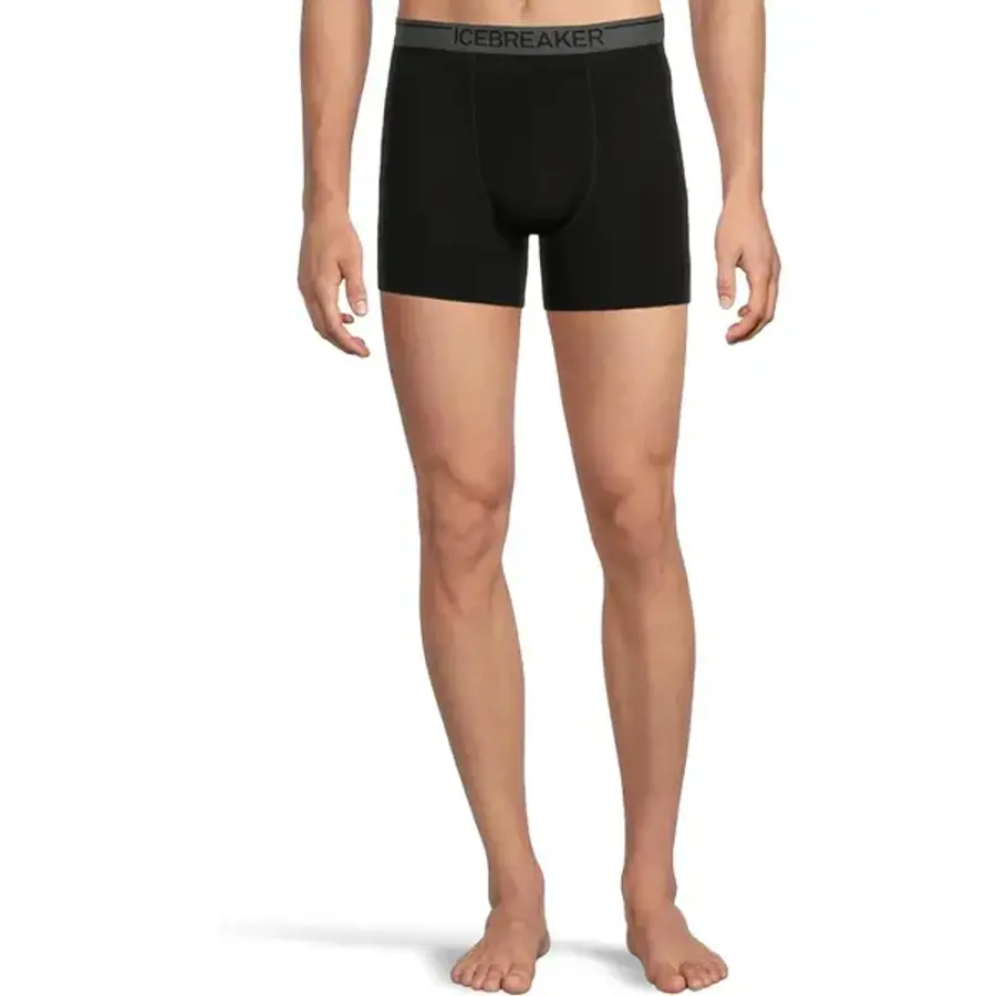아이스브레이커 남성 드로즈 팬티 Icebreaker Merino 150 Anatomica 박서 242948 속옷