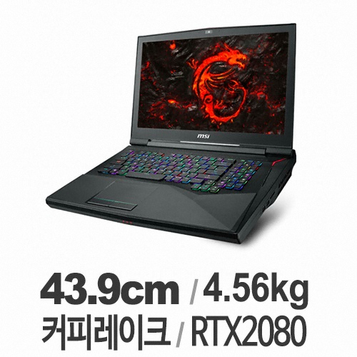 MSI GT시리즈 GT75 Titan 8SG (SSD 256GB + 1TB)