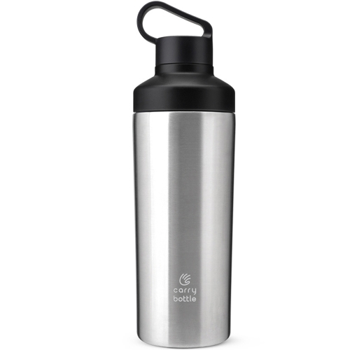 캐리보틀 리프 텀블러 530ml 스틸