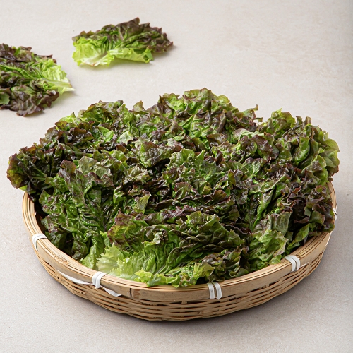 ��ǰ �� �̹���