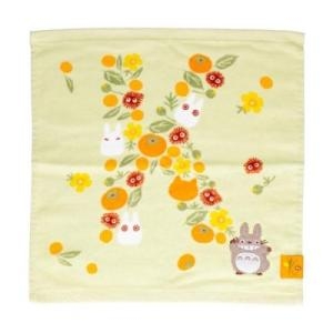 대원샵 이웃집 토토로 워시타올 토토로 K