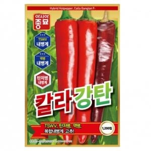 아시아종묘 고추씨앗종자 칼라강탄 1200립