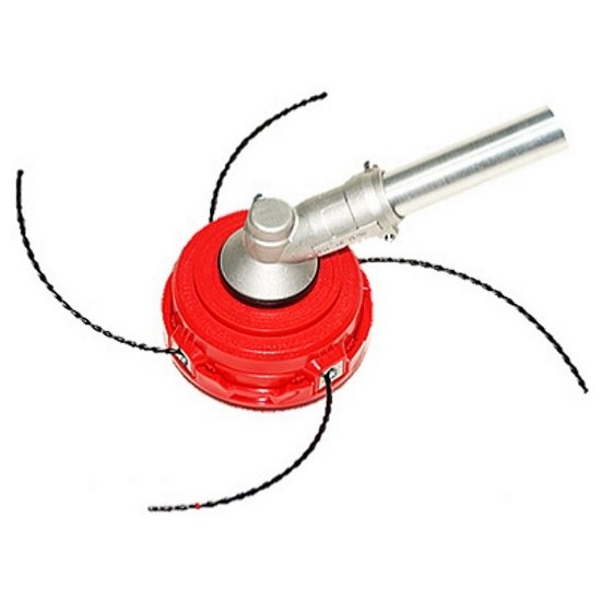 ������ ����ŷ 4�� ���Ϸ�Ŀ��