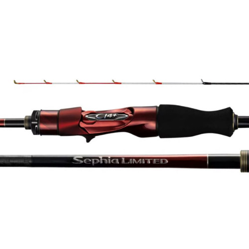 �ø��� ���Ǿ� ����Ƽ�� ��Ż ����, 2025����