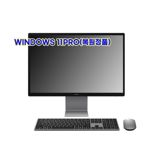 삼성전자 올인원PC DM970AGA-BIZ516P [16GB, M.2 1TB]