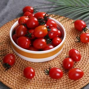 다농이네 다니 스테비아 대추 방울토마토 500g_이미지