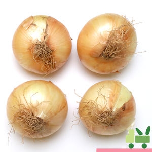 사라상회 1등 양파 10kg