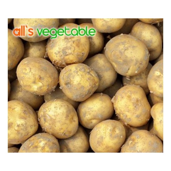 Ǫ��ä �ý�Ǫ���� �޼��̰��� �� 3kg