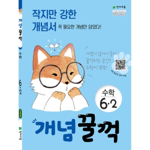  천재교육 2020 개념꿀꺽 초등수학 6-2