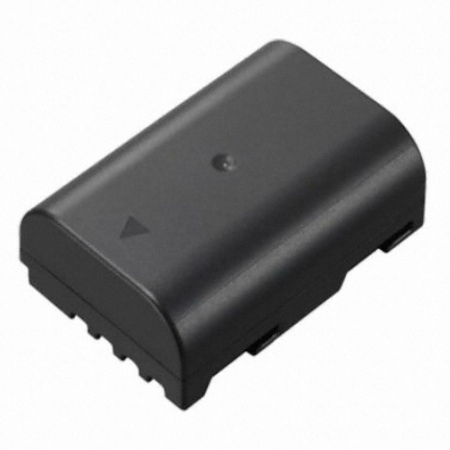 DMW-BLF19E 배터리