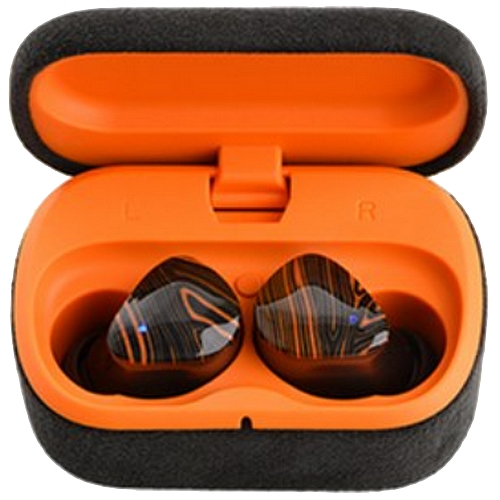 노블오디오 FoKus Triumph (해외구매)_이미지