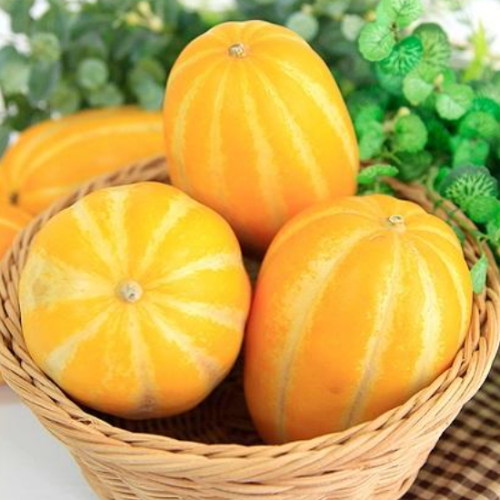 성주 꿀참외 가정용 못난이 흠과 랜덤과 10kg