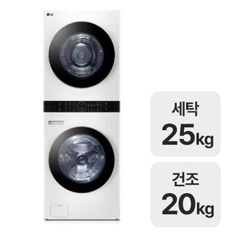 LG전자 트롬 오브제컬렉션 워시타워 W2520WHM