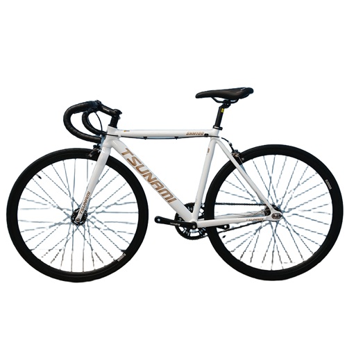 쓰나미 픽시 코리아 SNM 100_이미지