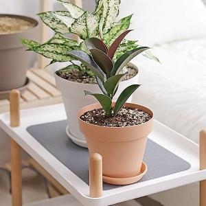 [�Ҹ�] ������ Ȩ����� �ǳ����׸��� �������� ��Ʈȭ�� 2ȣ -��Ű��