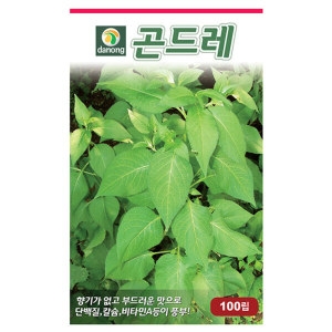 다농 곤드레 씨앗 1000립_이미지