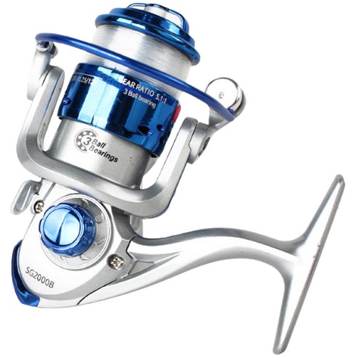 ���� SG-2000 ����