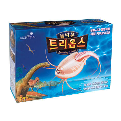 트리옵스 키우기 보급형 소