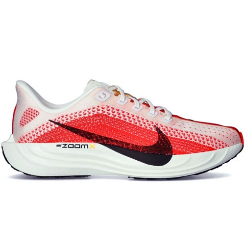 나이키 페가수스 플러스 FQ7262-103 (병행)_이미지