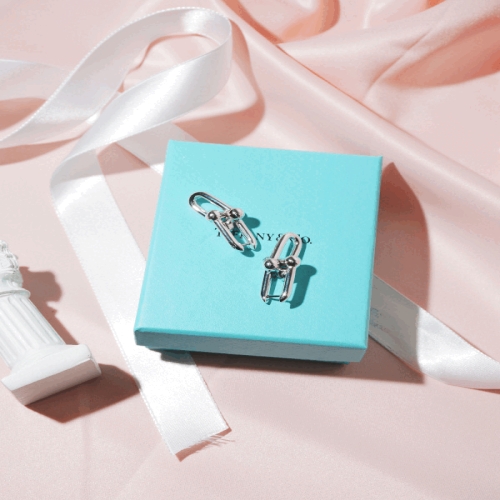 티파니앤코 시티 하드웨어 링크 이어링 실버 68533708