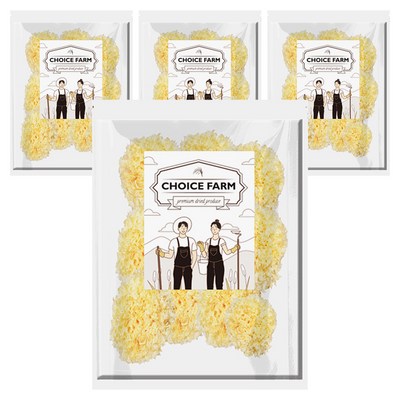 초이스팜 백목이버섯 (500g,4개)