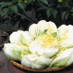 자연주의 땅끝해남절임배추 20kg